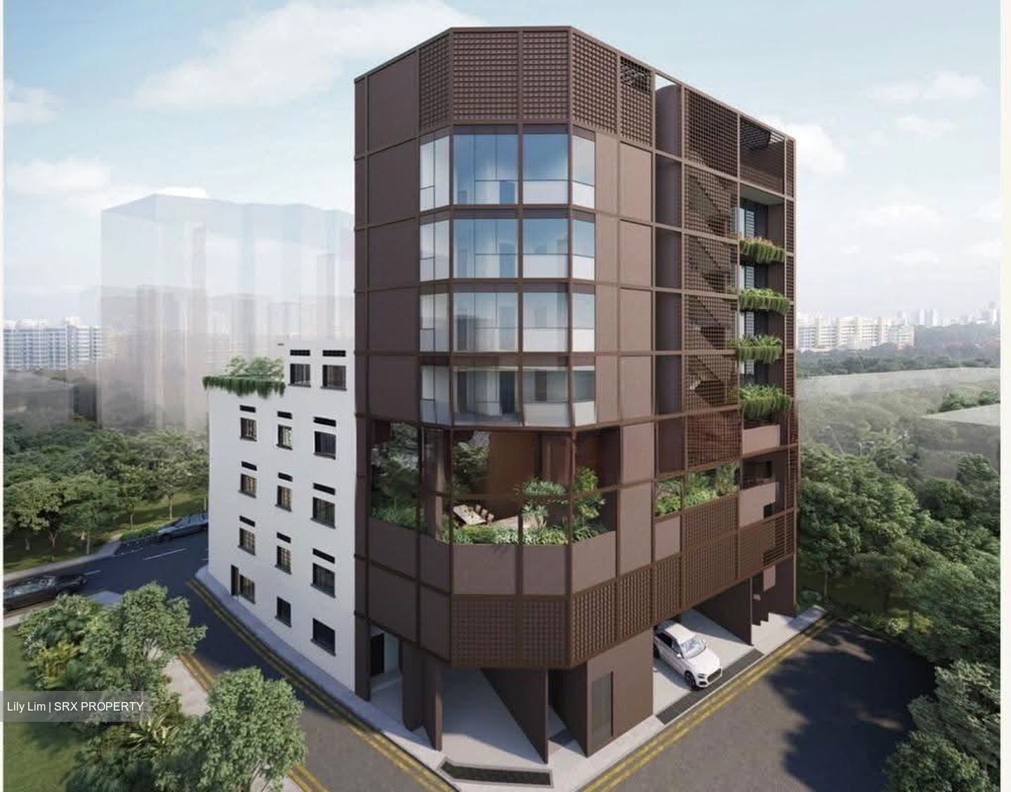 Duet (D10), Condominium #606948251